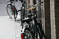 Img 088